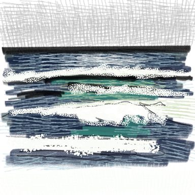 *Study Sketch*